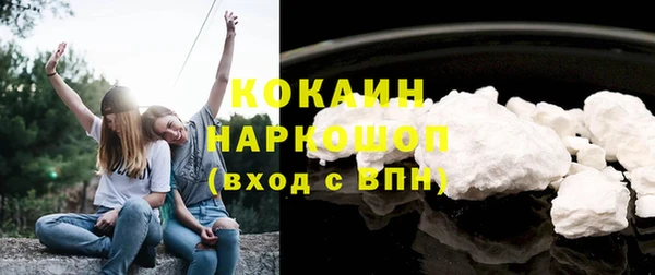 индика Михайловка