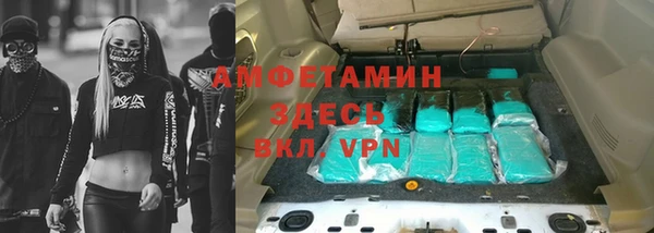 индика Михайловка