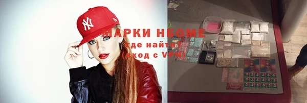 индика Михайловка