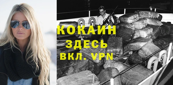 ПСИЛОЦИБИНОВЫЕ ГРИБЫ Михайлов