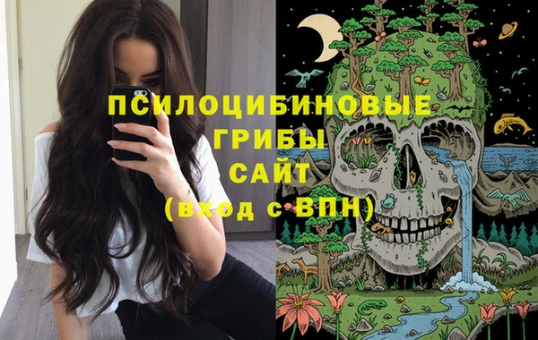 индика Михайловка