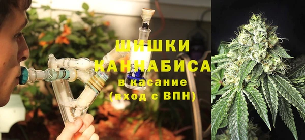 ПСИЛОЦИБИНОВЫЕ ГРИБЫ Михайлов