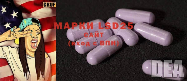 индика Михайловка